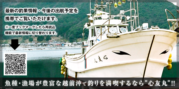 魚種・魚場が豊富な越前沖で釣りを満喫するなら“心友丸”!!